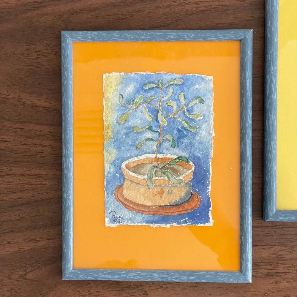 Original‎ Watercolor Art Plants Bright Colorful Signed Frames Set Small